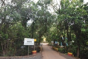 hutan1