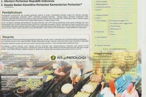 Seminar Nasional 2019