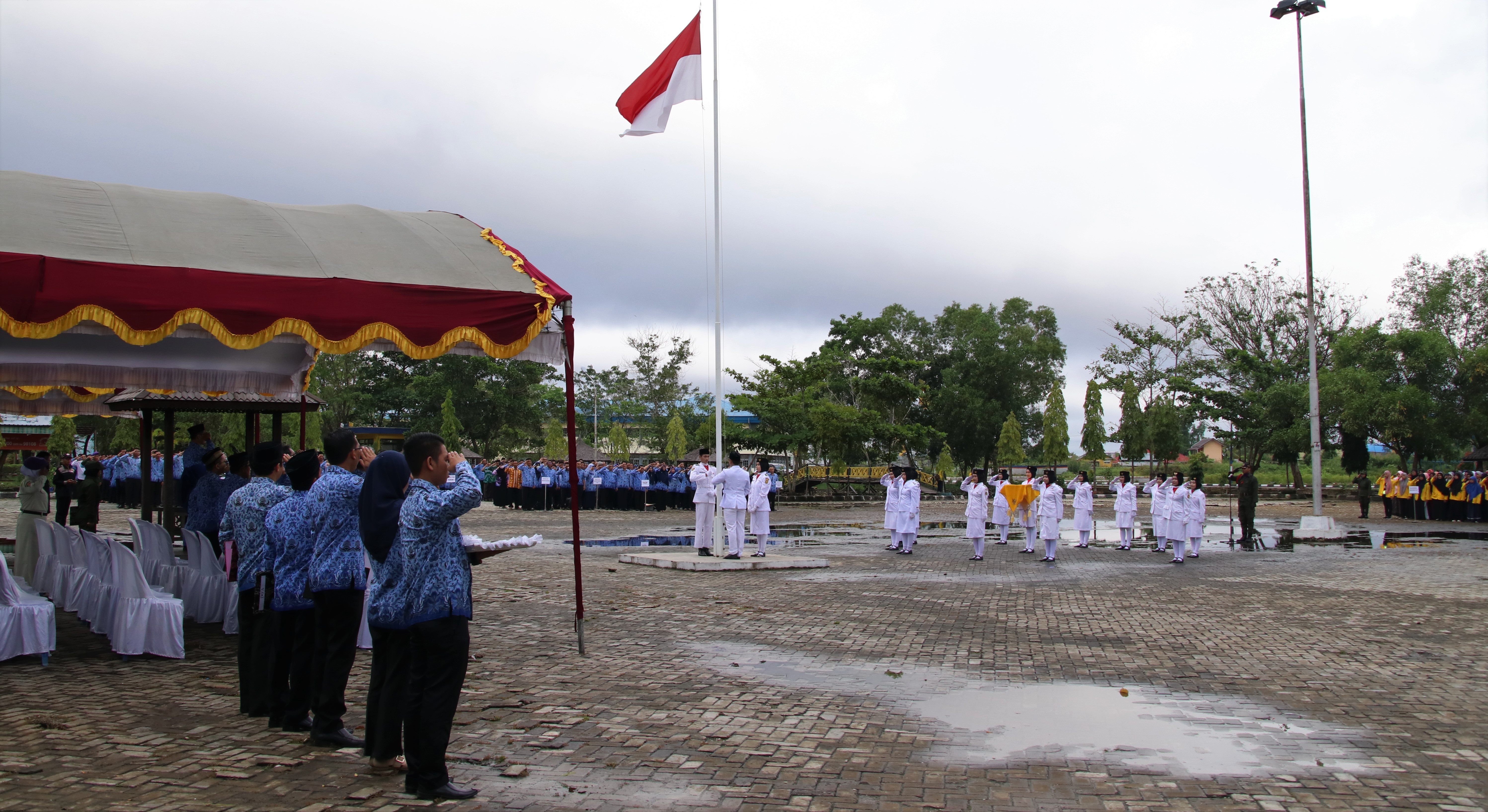 PERAYAAN HARDIKNAS 2019 DI ULM