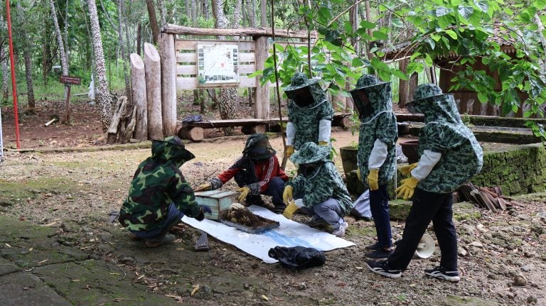 pemanenan-madu-hutan-wanagama-768x431