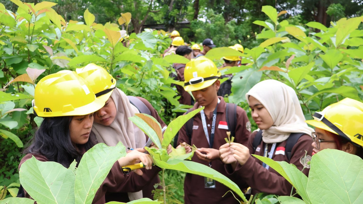 praktik-perbanyakan-tanaman-dengan-metode-stek-pucuk-1536x862
