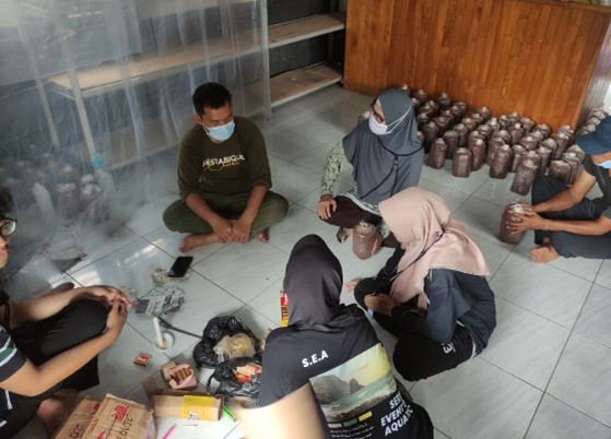 IAAS Baglog 3